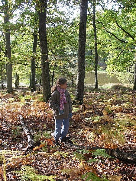 2008 10  Myco avec l 'ANY 05